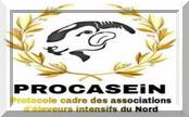 Procasein